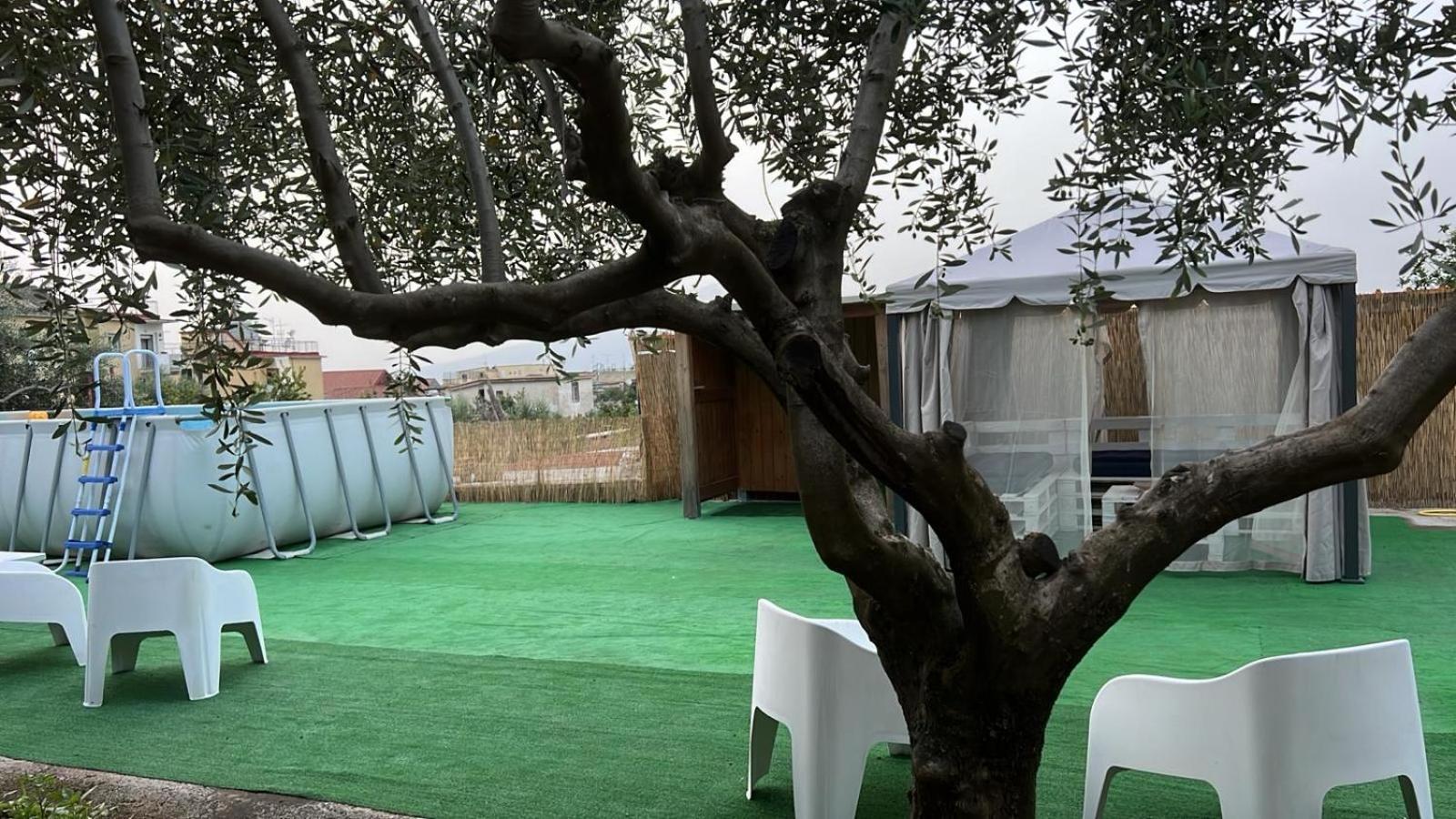 Cerasella House Apartment Castellammare di Stabia Exterior photo